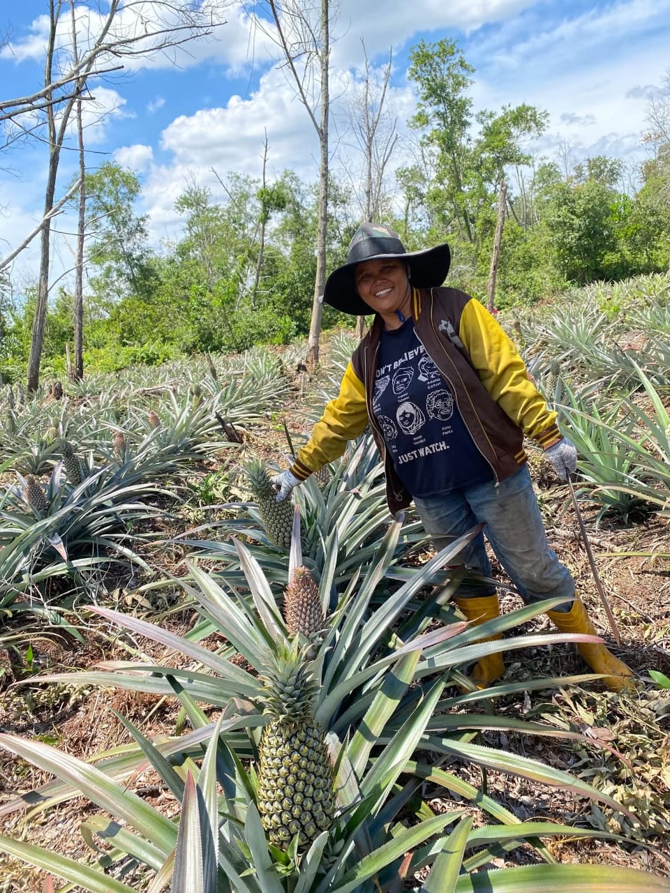 Proses produksi selai nanas homemade